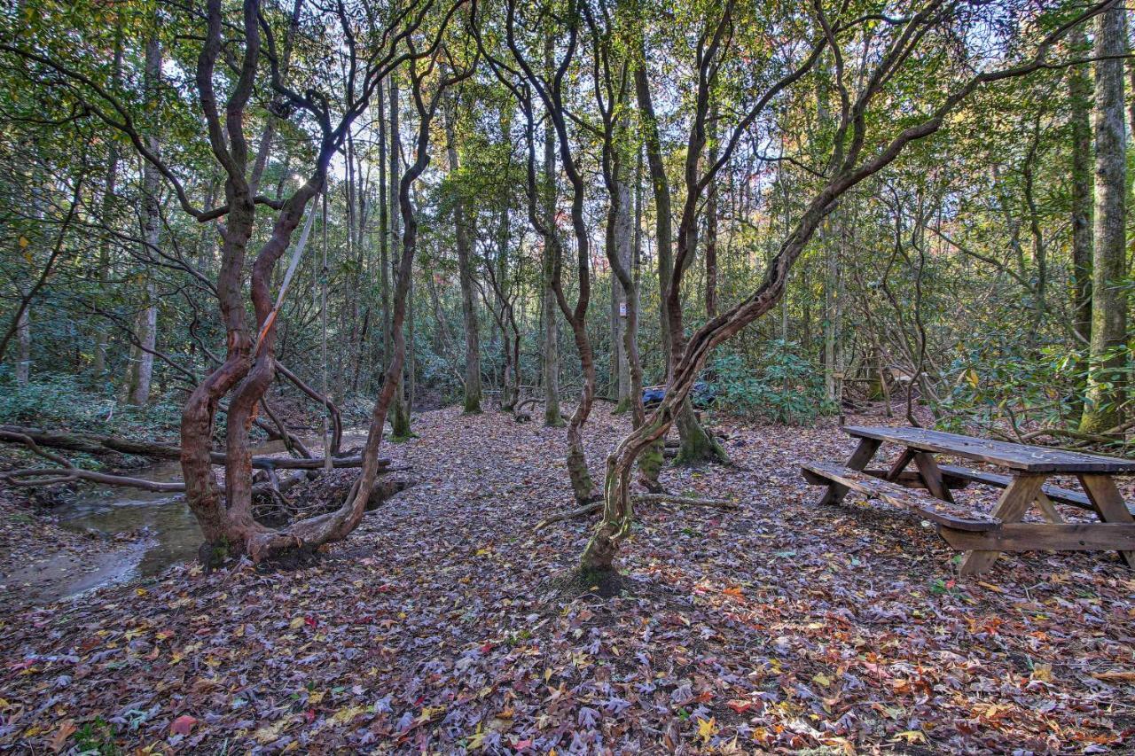 5-Acre North Georgia Mountain Retreat With Creek! Villa Sautee Nacoochee Exterior photo